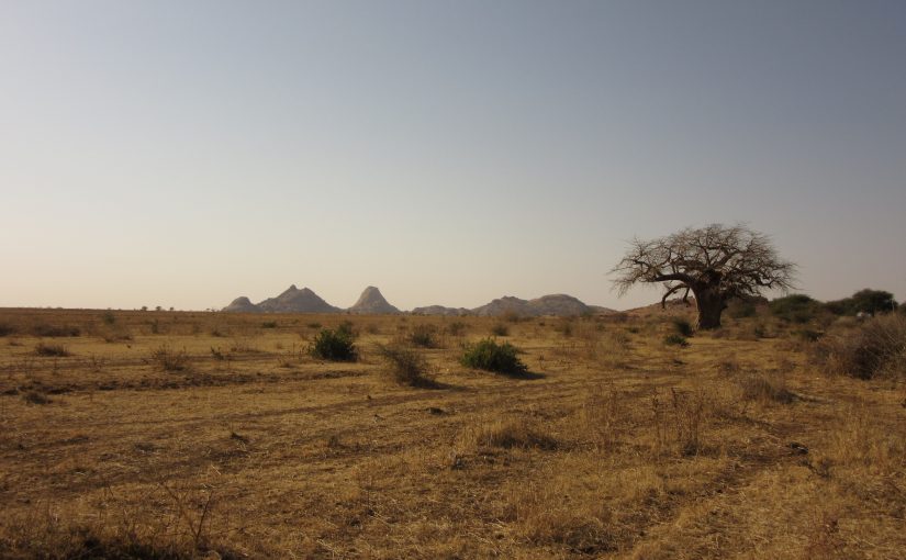 Field activities in Sudan
